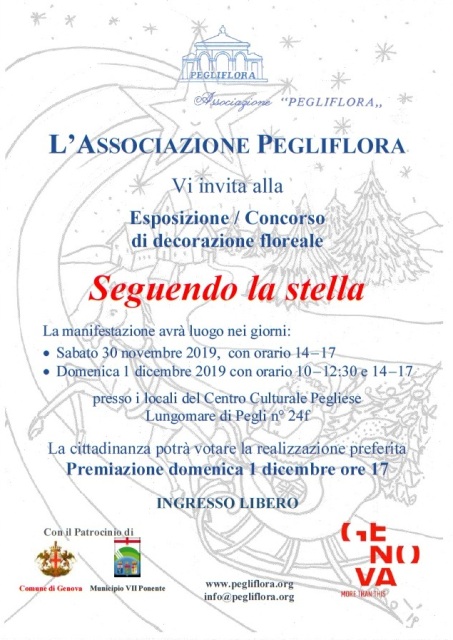 Locandina Seguendo la Stella