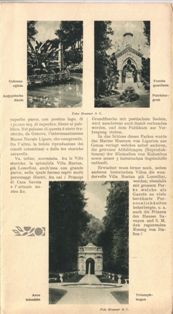 Depliant Pegli Pagina 4