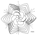 Incarnata